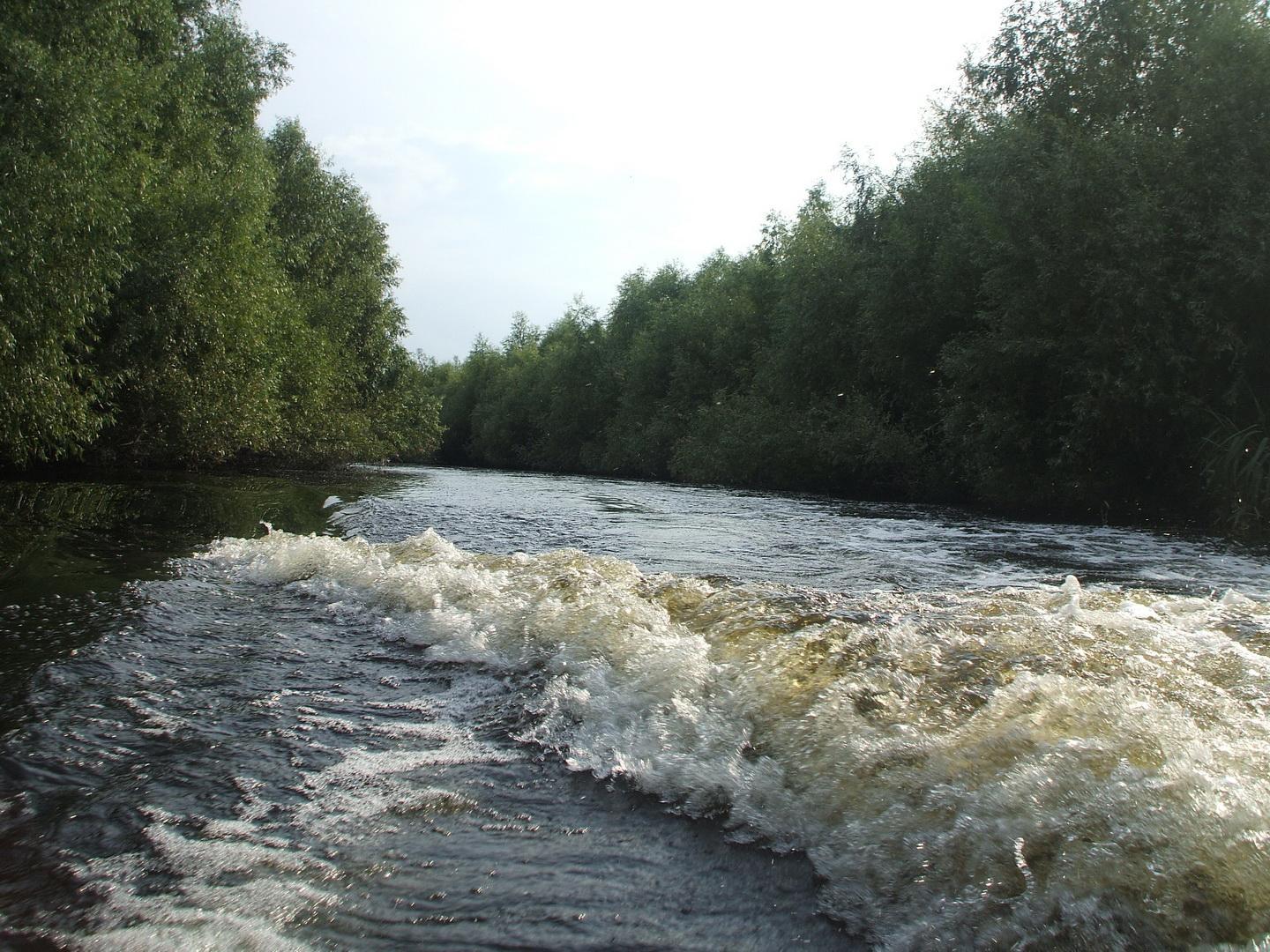 nice things  - delta-dunarii-14.jpg